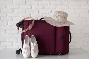 Methods of maintaining natural leather bags and shoes+wholesale